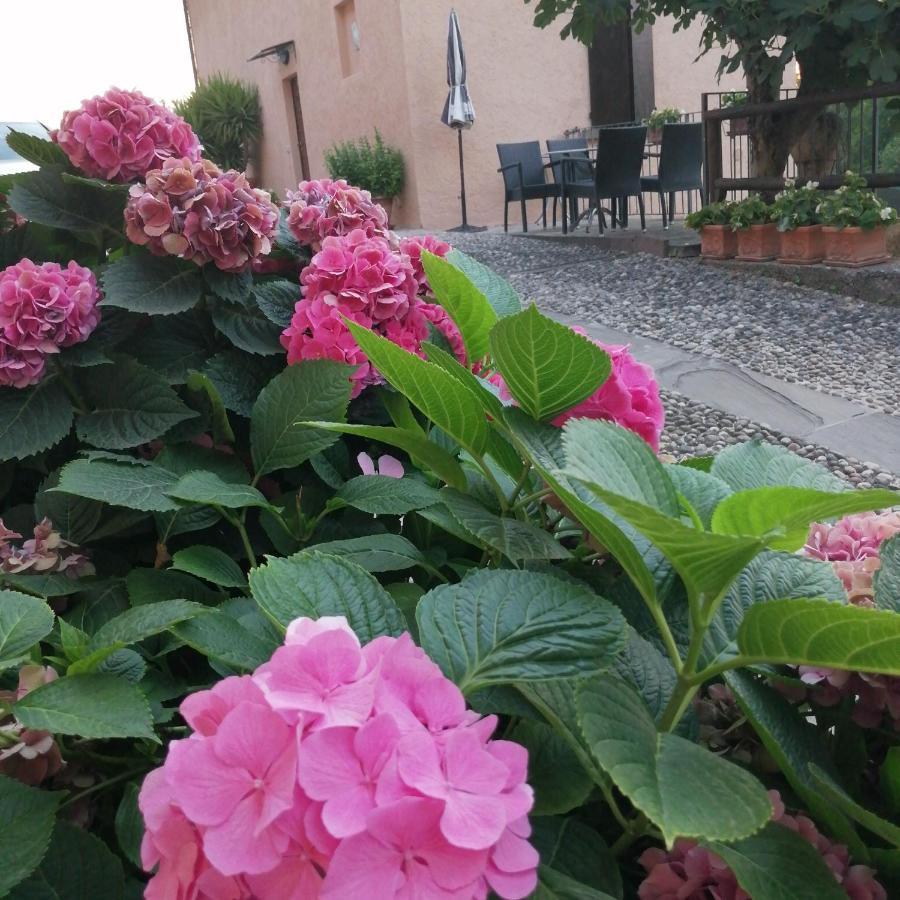 B&B Ronco Degli Ulivi Исео Экстерьер фото