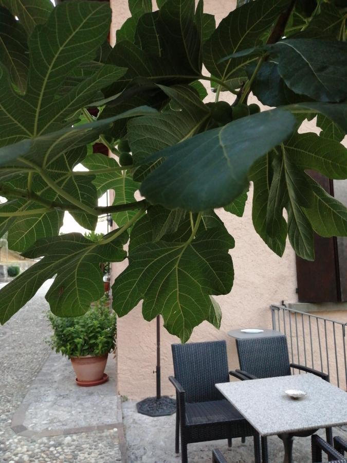 B&B Ronco Degli Ulivi Исео Экстерьер фото